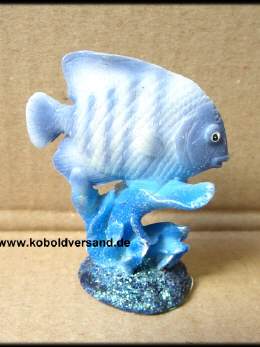 Kleiner blauer Fisch