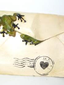 2 grüne Frösche auf Briefumschlag mit Herz